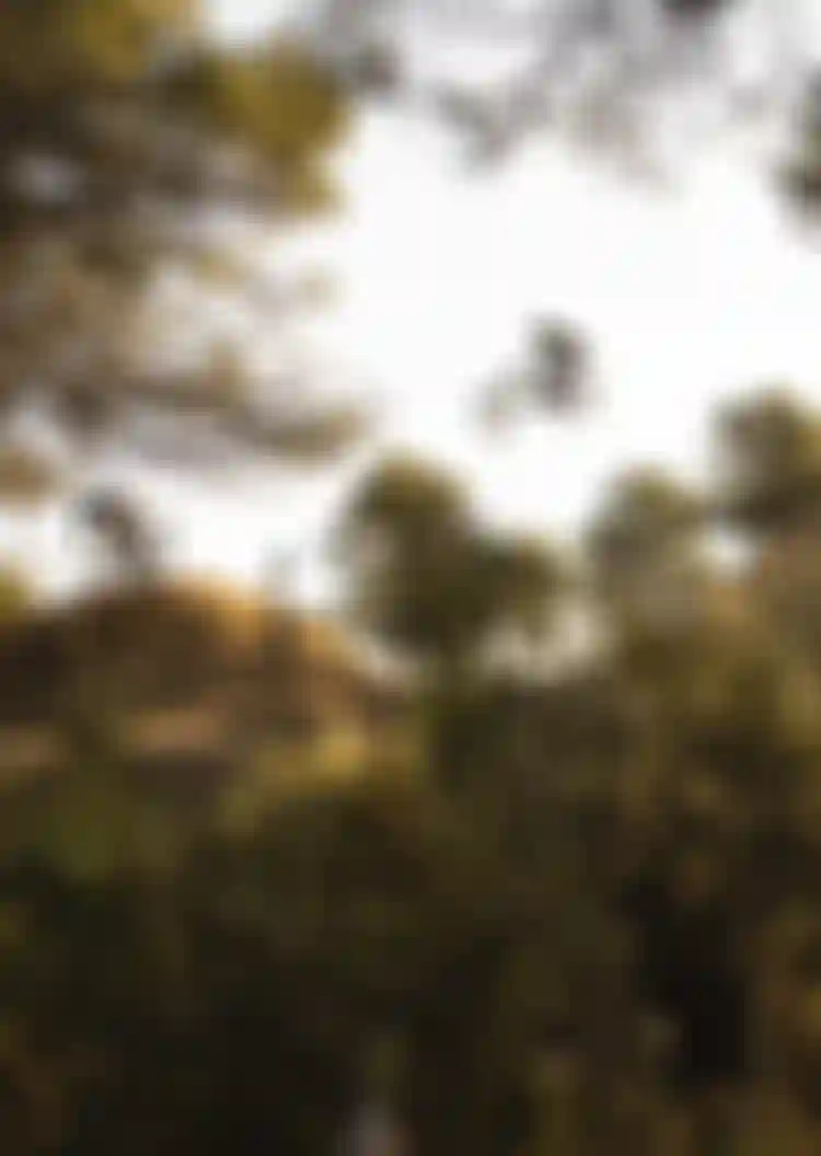ION Bike_Videos_Header