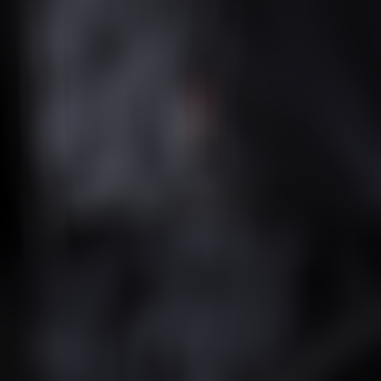 ion bike shelter lp 2023 Thermolite insulation