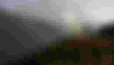 Two Mountainbiker riding on a trail