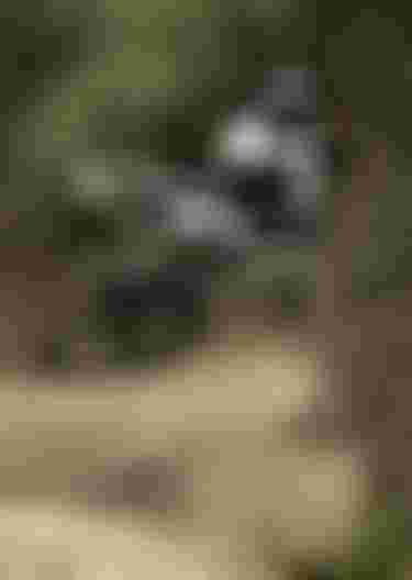 ION-Bike_Stylefinder_Scrub
