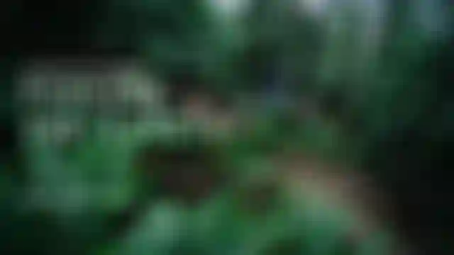 ION Bike_Thumbnail_Hannah