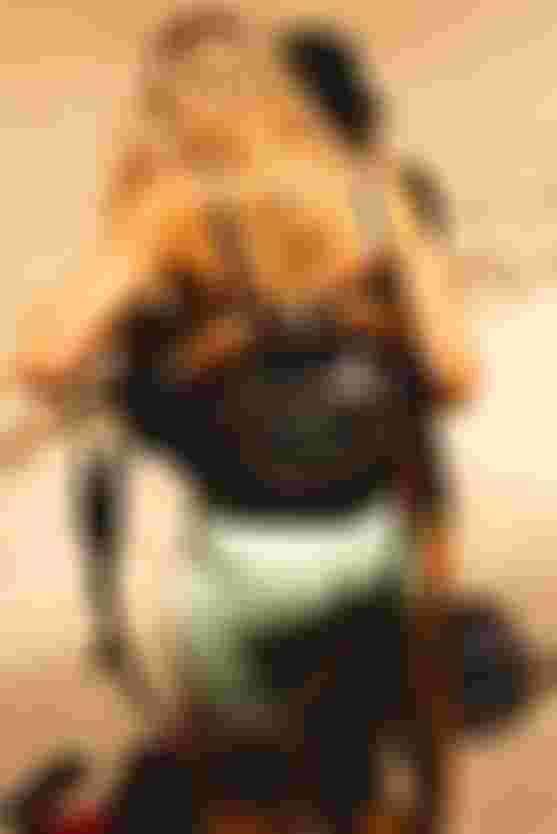 blonde woman wearing a blue kite harness photographed from behind