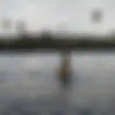 ION Club Surf