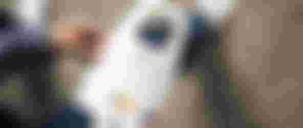 Person holding a measurement kit with instructions visible, wearing jeans and socks.