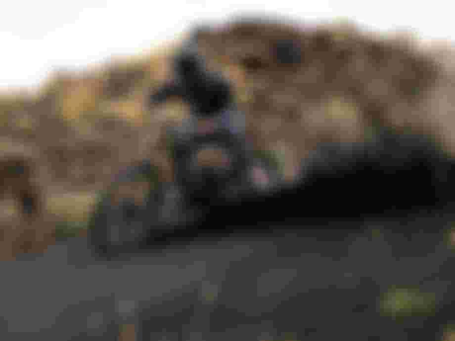 Mountain biker in black gear skids dramatically on a dirt trail, creating a plume of dust against a rugged, rocky landscape.
