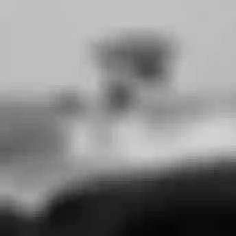 ion water_young blood_tarifa_wing