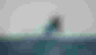 ion water athlete_Edgar Ulrich_Dakhla