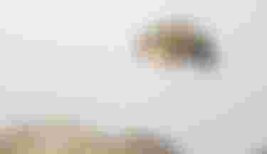 Ion Water Athletes_Rocco Sotomayor_Capetown