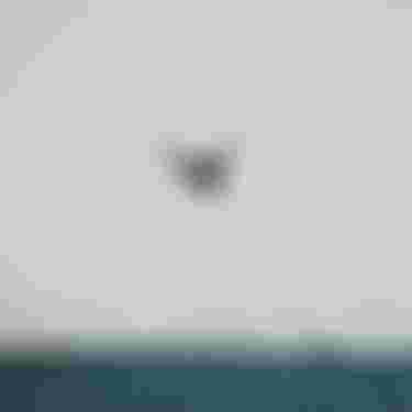 Ion Water Athlete_Edgar Ulrich_Dakhla