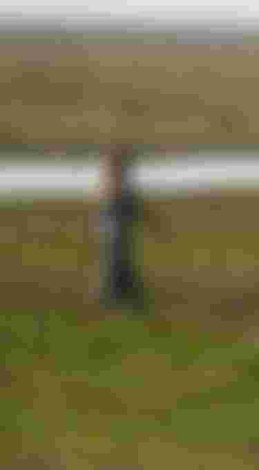 Woman walking on a grass field wearing a t-shirt