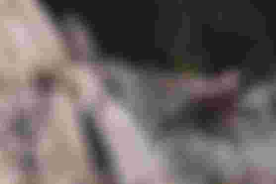 ION Bike Traze Bundle Men_Tee LS Traze Men Utah Red_MTB Shorts Traze Men Black