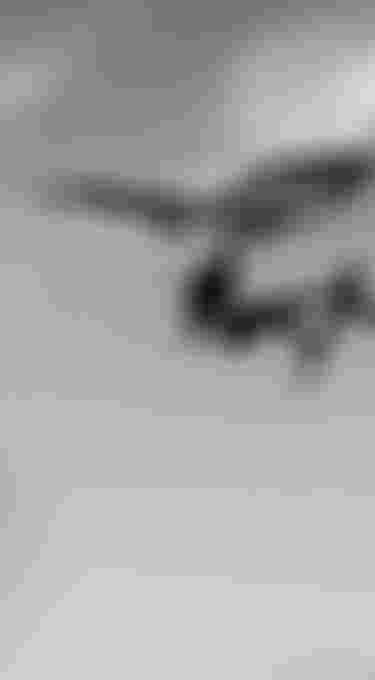 silhouette of a wing foiler in the air