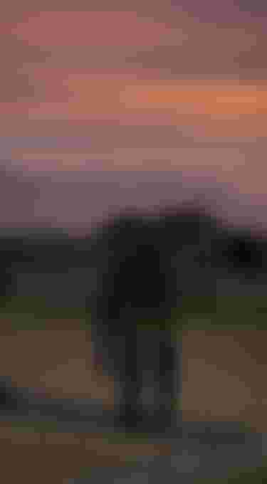 Sunset scenery in the background, wetsuits and kite harnesses hanging over a fence to dry