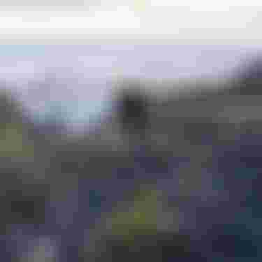 Ion Water Athlete_Edgar Ulrich_Iceland