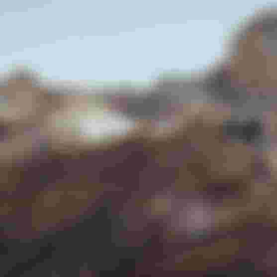 Rampage-2025-Men-Finals-1