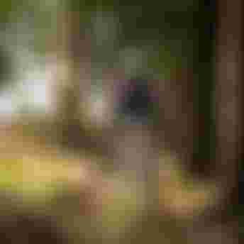 ION Bike_MTB Shoes for Kids