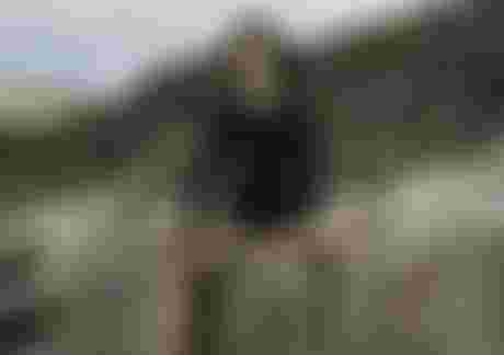 Amaze Amp Hot Shorty LS