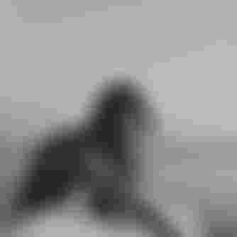 Women sitting on the beach with a longboard