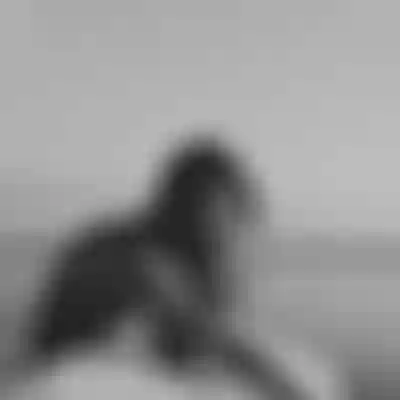 Women sitting on the beach with a longboard