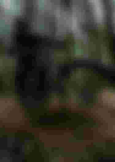 ION Bike_Outerwear_Men