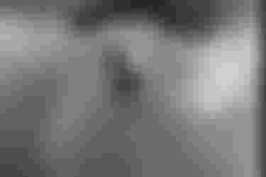 The all-new carbon harness from ION called "Spectre"