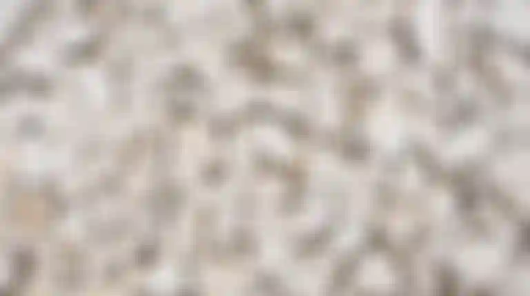 Limestone Neoprene.jpeg