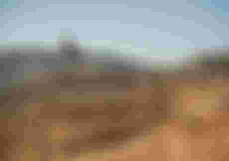 ion-bike-art-of-protection-backdrop4