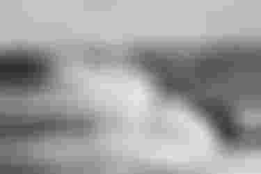 ION Water Gift Guide under 100€