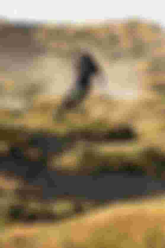 Three cyclists ride mountain bikes on a rugged, grassy terrain with dust trailing behind them, under a clear sky.