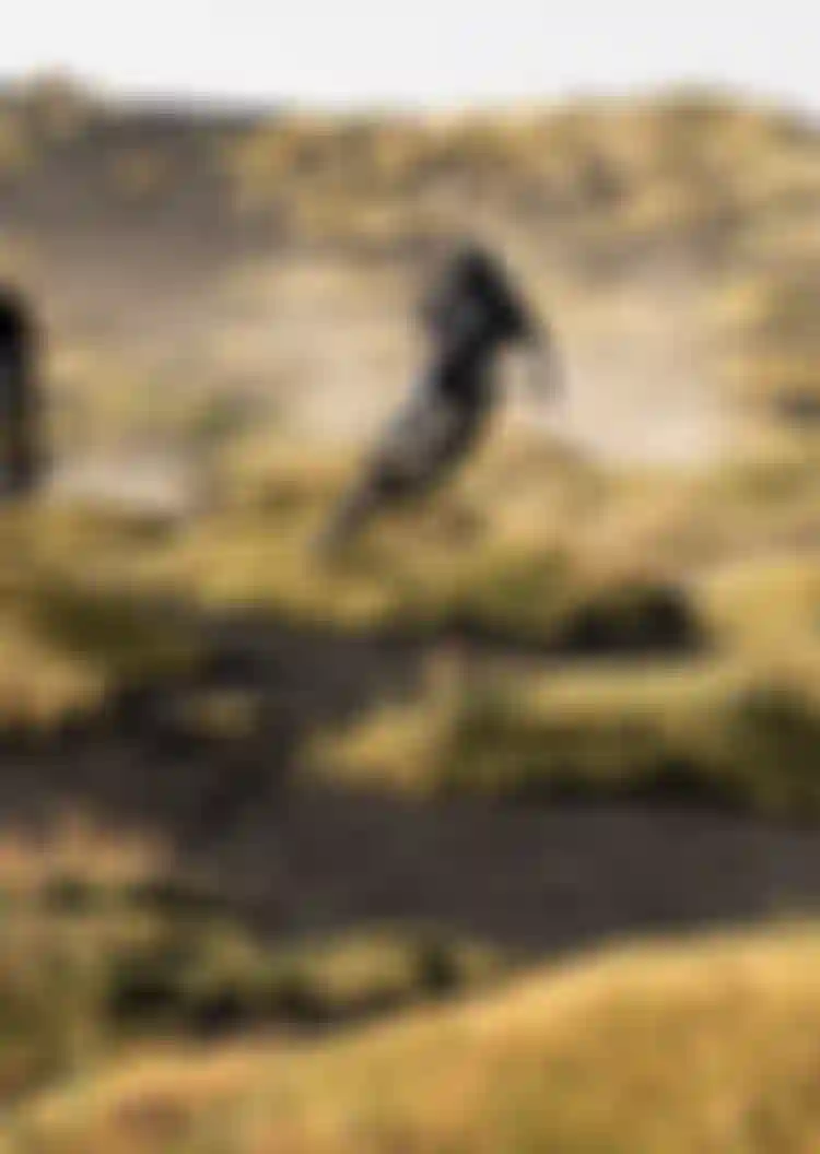 Three cyclists ride mountain bikes on a rugged, grassy terrain with dust trailing behind them, under a clear sky.