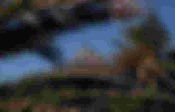 Palm tree branched against blue sky with the tip of a mountain visible