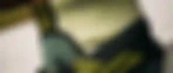 Inside view of a wetsuit with green thermal linings