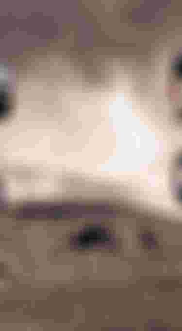 Two mountain bikers in helmets ride over rugged, dusty terrain, with one lifting the front wheel in an action-packed scene.