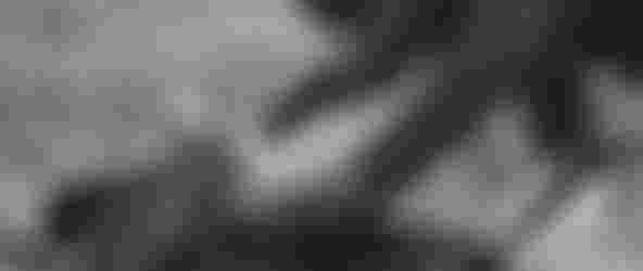 Rush Wing Vest shear-thinning protection