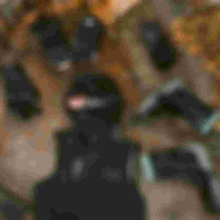 neoprene accessories like gloves, shoes and a hood lying in shallow water