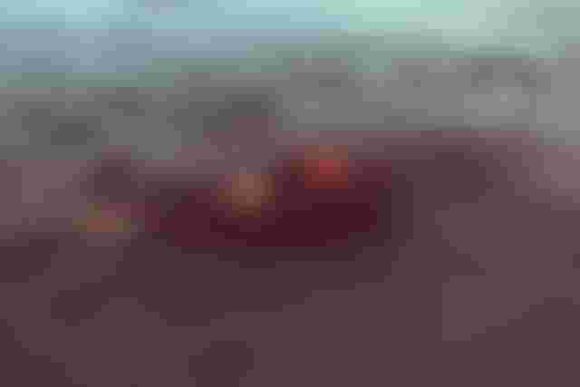 Woman floating in shallow water wearing a red shorty wetsuit