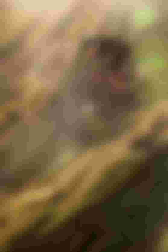 Mountain biker in black gear rides swiftly down a steep, sunlit hillside covered with dry grass, creating a sense of speed and adventure.