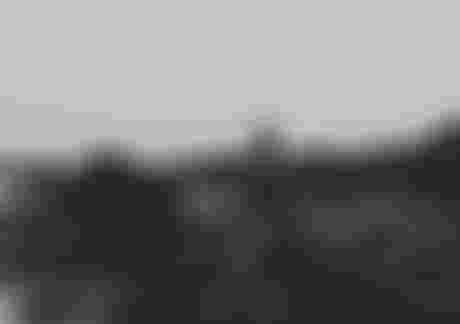 ION Amaze Women Waterwear