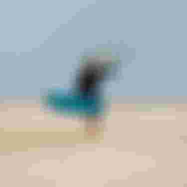 Finn Flügel Ion Water Athlete Kite Egypt