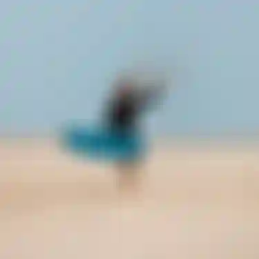 Finn Flügel Ion Water Athlete Kite Egypt