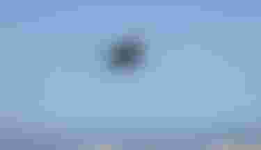 Finn Flügel Ion Water Athlete Kite Egypt