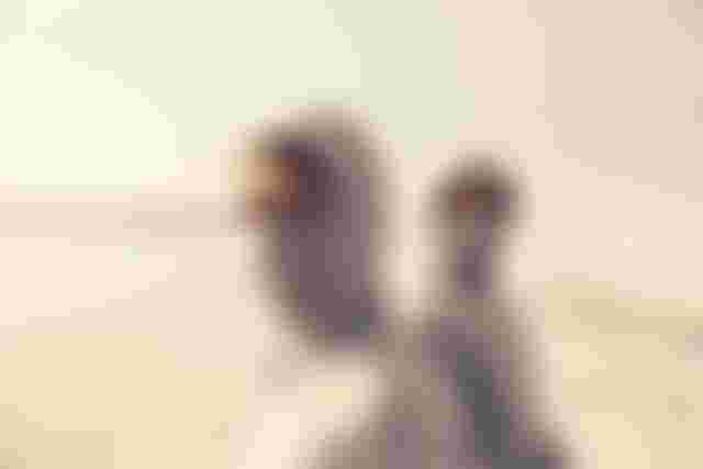 Two people in hooded rashguards with facemasks standing on a sunny beach