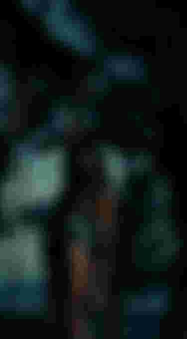 woman in a blue summer wetsuit in front of palm trees, image with a blue hue