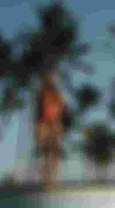 Woman in a red shorty wetsuits standing on the edge of a swimming pool