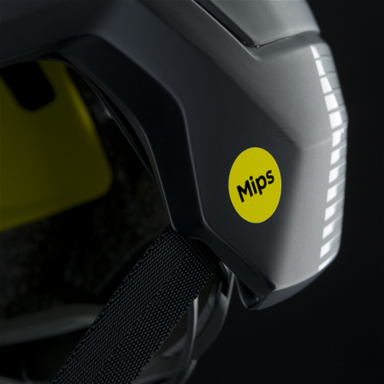 Mips® - brain protection system