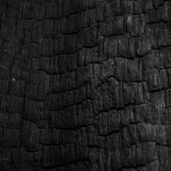 11% Lyocell (regrowing)