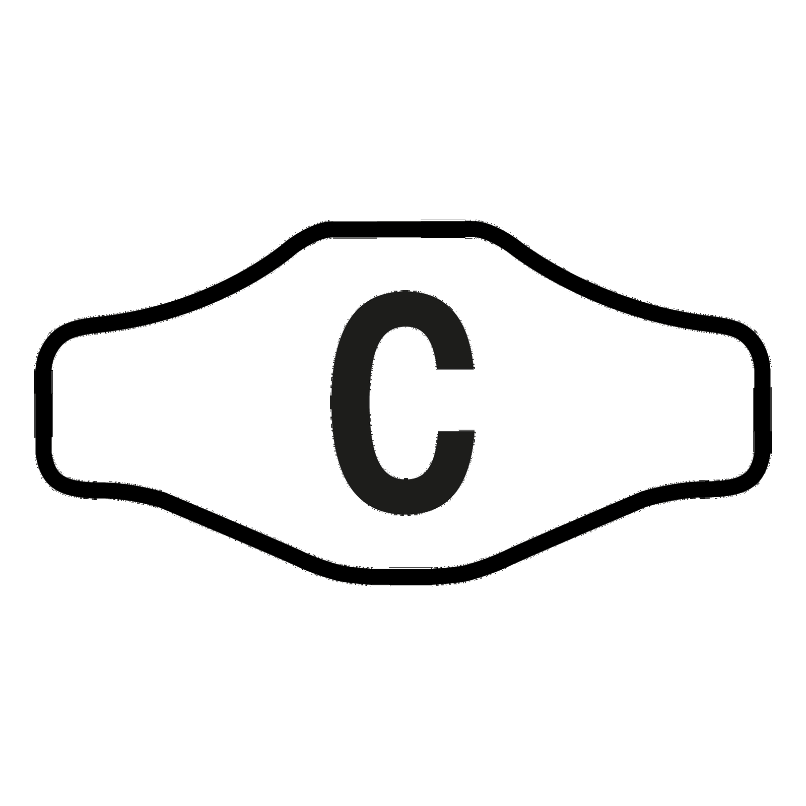 Carbon Hartschale