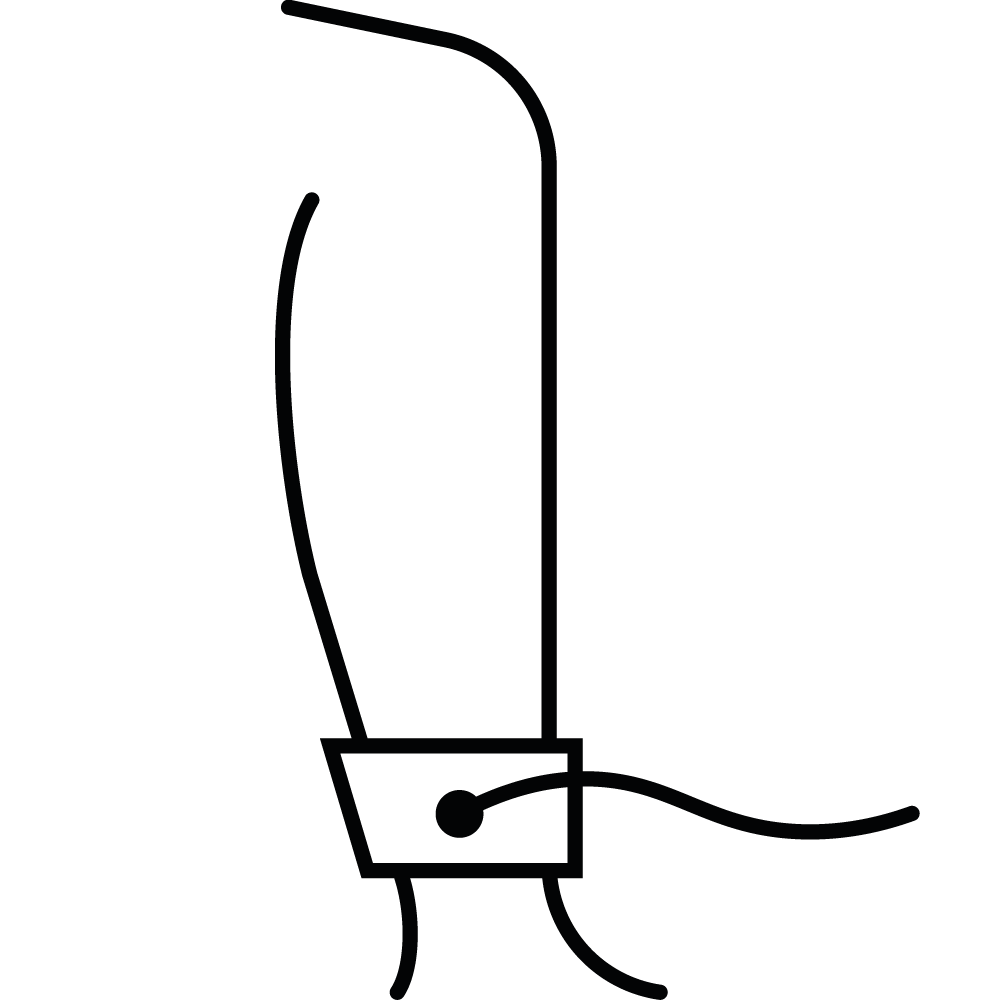 Ankle