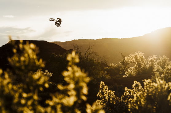 ION_Bike_Tee-SS-Seek-DR_Action-Shots_1