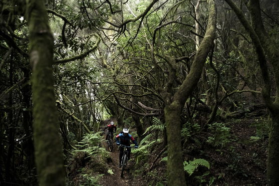 ION_Bike_Softshell-Jacket-Shelter-WMS_Action-Shots_4